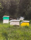 Summer view of rural apiary and honey production in Greece, bee hive colony, swarm of bees in a beehive in a countryside, Royalty Free Stock Photo