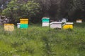 Summer view of rural apiary and honey production in Greece, bee hive colony, swarm of bees in a beehive in a countryside, Royalty Free Stock Photo