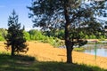 Summer view of the sandy lakeshore in suburban residential district. Royalty Free Stock Photo