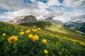 Alpine meadow and Sella group in Dolomites, Italy. Royalty Free Stock Photo