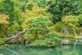 Summer view of Sogenchi Garden at Tenryu-ji temple. Kyoto, Japan