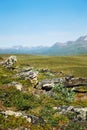 Summer view of Sweden Lapland