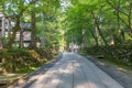 Summer view of temple path through forest trees, Eiheiji, Fukui Prefecture, Japan Royalty Free Stock Photo