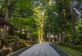 Summer view of temple path through forest trees, Eiheiji,Japan Royalty Free Stock Photo