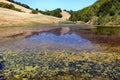 Summer View of Turtle Pond at Pleasanton Ridge Regional Park, Alameda County, California Royalty Free Stock Photo