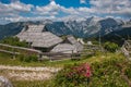 Summer view of Velika Planina rural village with wild flowers in Slovenia