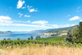 Sweeping view of vineyards, lake, mountains, blue sky in summer Royalty Free Stock Photo