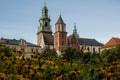 Summer view of Wawel Royal Castle in Krakow, Poland. Historical place in Poland. Flowers on foreground. Beautiful Royalty Free Stock Photo