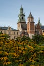 Summer view of Wawel Royal Castle in Krakow, Poland. Historical place in Poland. Flowers on foreground. Beautiful Royalty Free Stock Photo