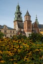 Summer view of Wawel Royal Castle in Krakow, Poland. Historical place in Poland. Flowers on foreground. Beautiful Royalty Free Stock Photo