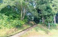 Summer view of wooden steps climbing up into forest, Fukui Prefecture, Japan