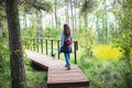 Summer view of wooden walkway on the territory of Sestroretsk swamp, ecological trail path - route walkways laid in the swamp,