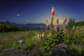 Summer views of the Beskydy landscape