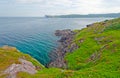 Summer Views on a Coastal Trail