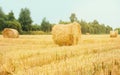 Summer, village, farm Royalty Free Stock Photo