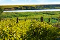 Summer village green landscape with hills, lake and vineyards