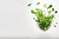 Summer vitamin salad of green lettuce leaves and various vegetables flying in the air on a white background Royalty Free Stock Photo