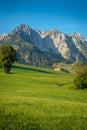 Summer in Walchsee with view of the Kaisergebirge