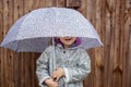Summer walk in the rain little girl with an umbrella Royalty Free Stock Photo