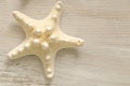 summer Wallpaper. beige starfish on white shabby chic background.Summer nautical decor.Background in a marine style in
