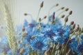 Summer wallpaper of blue cornflower, green spica flowers with bokeh and copy space, floral abstract background Royalty Free Stock Photo