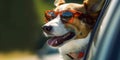 Summer Wanderlust Cardigan Welsh Corgi Dog with Shades and Leash on Adventurous Road Trip - Generative AI Royalty Free Stock Photo