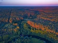 Summer warm sun light forest aerial view Royalty Free Stock Photo