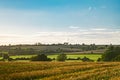 Summer warm view for local farmlands in Oxfordshire, harvest time farm fields landscape with trees and cows in far Royalty Free Stock Photo