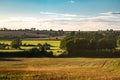 Summer warm view for local farmlands in Oxfordshire, harvest time farm fields landscape with trees and cows in far Royalty Free Stock Photo