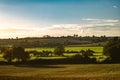 Summer warm view for local farmlands in Oxfordshire, harvest time farm fields landscape with trees and cows in far Royalty Free Stock Photo