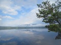 Summer water landscape. Blue sky and clear water of Lake Pyaozero with reflected clouds. A large spruce bent over the lake. View o Royalty Free Stock Photo