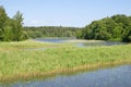 Summer water landscape