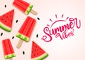 Summer water melon vector banner template. Summer vibes text with tropical fruit water melon and popsicle elements in pink. Royalty Free Stock Photo