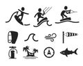 Summer water sport pictograms Royalty Free Stock Photo