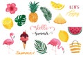 Summer watercolor collection with watermelon,lemon,flamingo and ice creame.Vector illustration for icon,logo,sticker,printable, Royalty Free Stock Photo