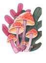 Summer watercolor illustration of mushrooms with leaf elements.