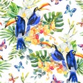 Summer watercolor seamless pattern with toucan, butterflies Royalty Free Stock Photo