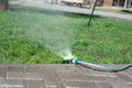 Summer watering of the lawn. Lawn watering device