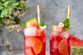 Summer watermelon refreshing drink with lime and soda. Delicious cocktail cold fruit drink