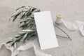 Summer wedding stationery, birthday mock-up. Empty menu card. White silk ribbon and olive tree branches. Grunge concrete