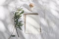 Summer wedding stationery, birthday mock-up scene. Blank greeting card with envelope, silk ribbon and olive tree