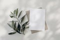 Summer wedding stationery. Blank greeting card, invitation mock-up scene with craft envelope Blooming green olive tree Royalty Free Stock Photo