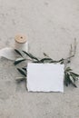 Summer wedding stationery mock-up scene. Blank business, place card. White silk georgette ribbon, olive branches and