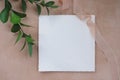 Summer wedding stationery mock-up scene. Blank card, invitation in sunlight. Ruscus leaves, greeting card and silk ribbon. Concret