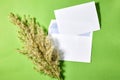 Summer wedding stationery mock-up scene. Blank greeting card with envelope above green background with reed plant