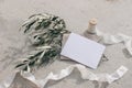 Summer wedding stationery mock-up scene. Blank greeting card, envelope, silk ribbon and olive branches and fruit in