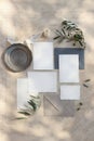 Summer wedding stationery mock-up scene. Blank greeting cards, envelopes, silver plate, silk ribbon and olive branches