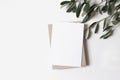 Summer wedding stationery mock-up scene. Blank vertical greeting card, craft paper envelope and olive branches isolated