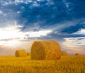Summer wheat field with haystack at the sunset Royalty Free Stock Photo