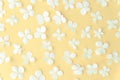 Summer white wild flowers on yellow background. Springtime floral composition Royalty Free Stock Photo